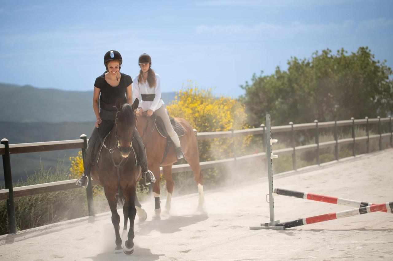 Podere Val D'Orcia - Tuscany Equestrian Sarteano Extérieur photo