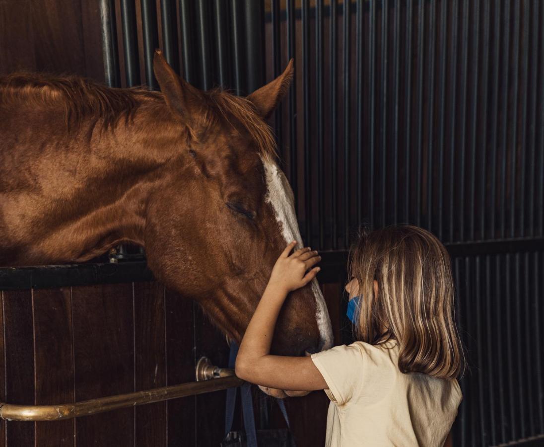 Podere Val D'Orcia - Tuscany Equestrian Sarteano Extérieur photo